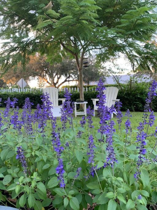 Charming 1935 Florida Cottage Overlooking Lake Tulane Avon Park Exterior photo